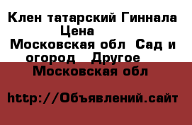 Клен татарский Гиннала › Цена ­ 580 - Московская обл. Сад и огород » Другое   . Московская обл.